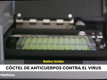 La Universidad e Oxford prueba el primer fármaco contra el coronavirus basado en anticuerpos La Universidad e Oxford prueba el primer fármaco contra el coronavirus basado en anticuerpos