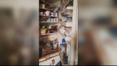 Mugre, comida putrefacta y destrozos: El lamentable estado en el que una okupa dejó una casa en Burriana