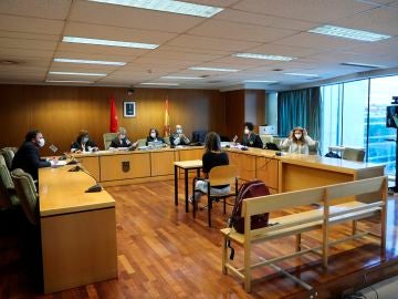 Imagen del juicio en la Audiencia Provincial de Madrid