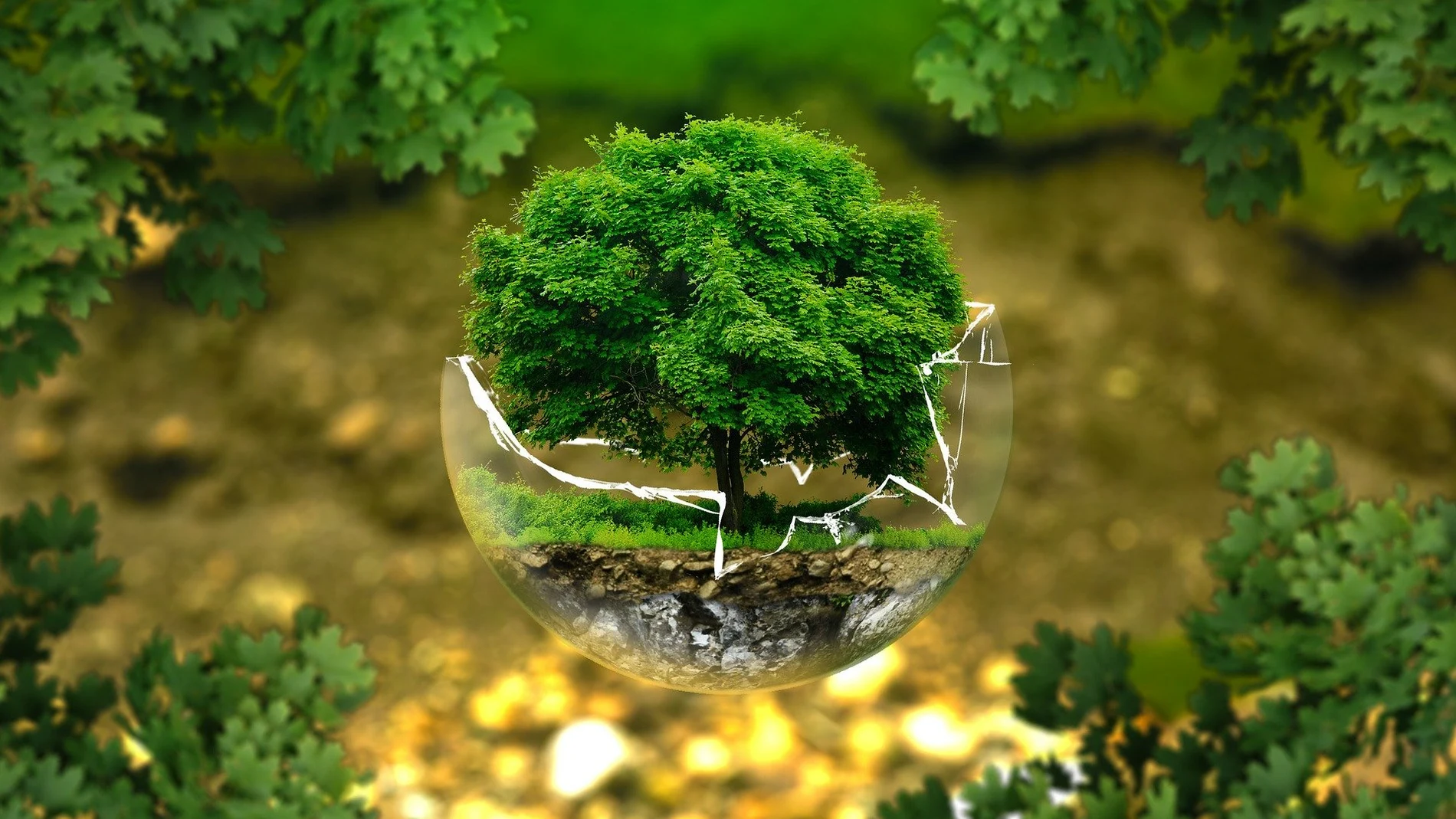 Día de la Preservación de la Capa de Ozono 2020: ¿Cómo está el agujero de la capa de ozono? Todas las claves de la recuperación Día de la Preservación de la Capa de Ozono 2020: ¿Cómo está el agujero de la capa de ozono? Todas las claves de la recuperación