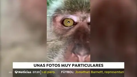 MONO SELFIE MONO SELFIE