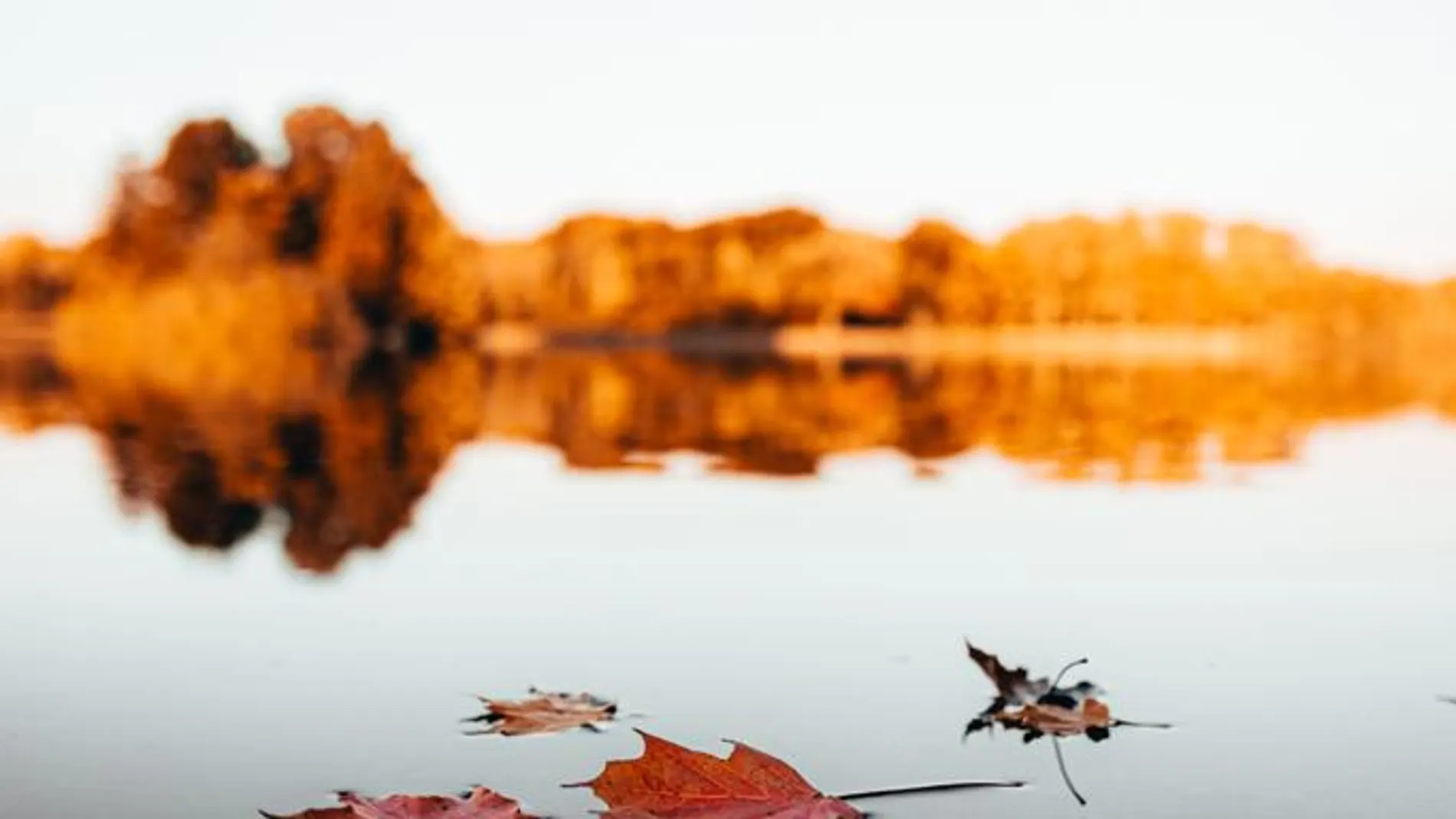 El otoño comienza el 22 de septiembre a las 15:31 h El otoño comienza el 22 de septiembre a las 15:31 h
