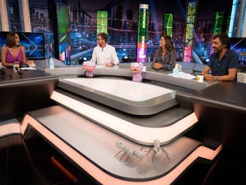 ¿Sexo al aire libre para prevenir la COVID-19? Tamara Falcó, Nuria Roca y Juan del Val dan su opinión en 'El Hormiguero 3.0'