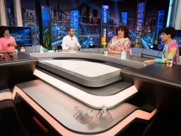 Javier Calvo, Javier Ambrossi y Paco La Pira&ntilde;a se enfrentan a 'Animal Lecter' en 'El Hormiguero 3.0'