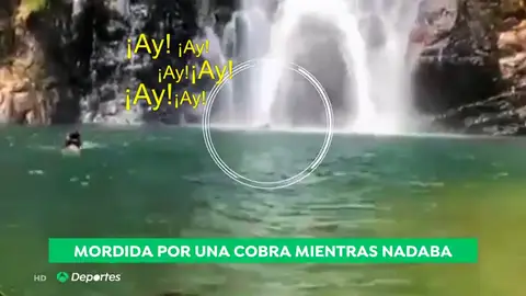 ataquecobra ataquecobra