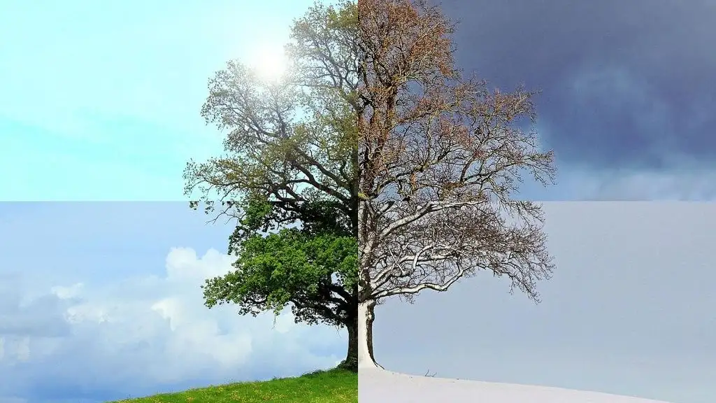 Equinoccio y solsticio en qué se diferencian Equinoccio vs solsticio