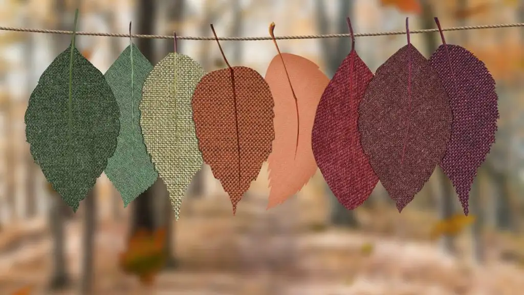 ¡Bienvenido otoño 2020! 10 frases para desear un feliz otoño Otoño 2020