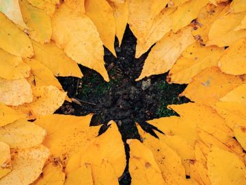 Equinoccio de otoño 2020: Rituales para celebrar la llegada del otoño