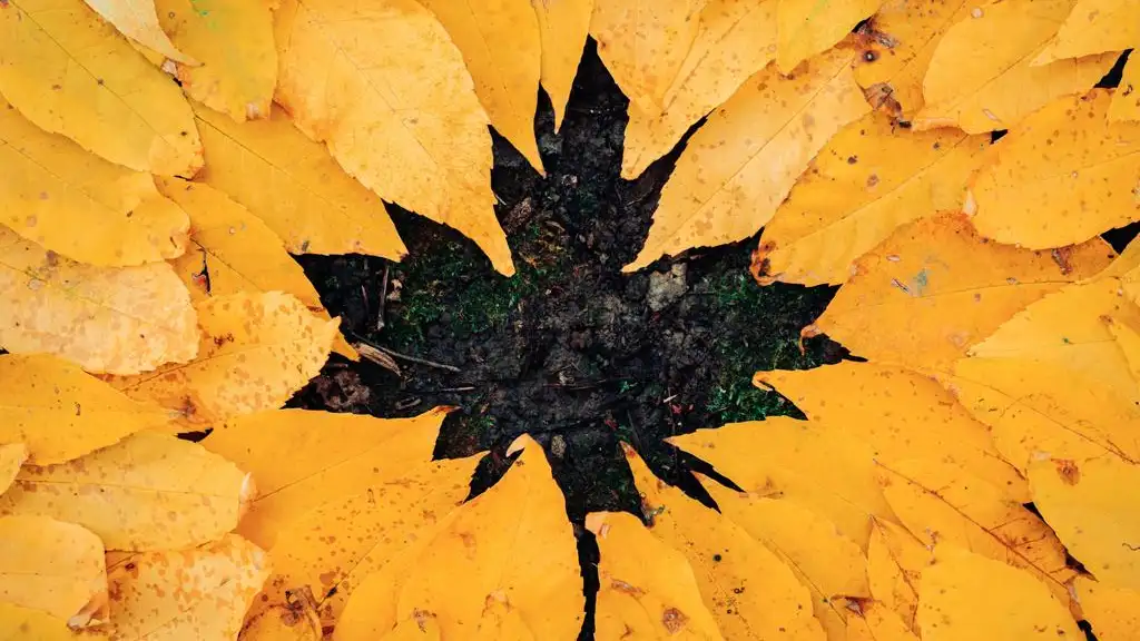 Equinoccio de oto&ntilde;o