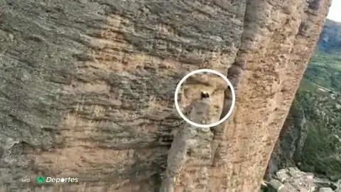 rescateaguja rescateaguja