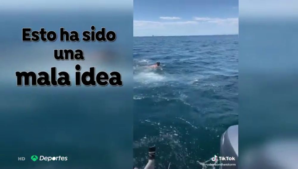 Se lanza al agua pensando que era un tiburón peregrino y se topa de frente con un tiburón blanco
