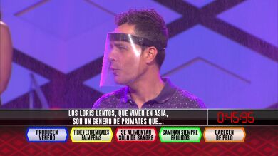 Los ‘Pica pica’ fallan en el primer cable una extraña curiosidad sobre los loris lentos, ¿de qué se trata?