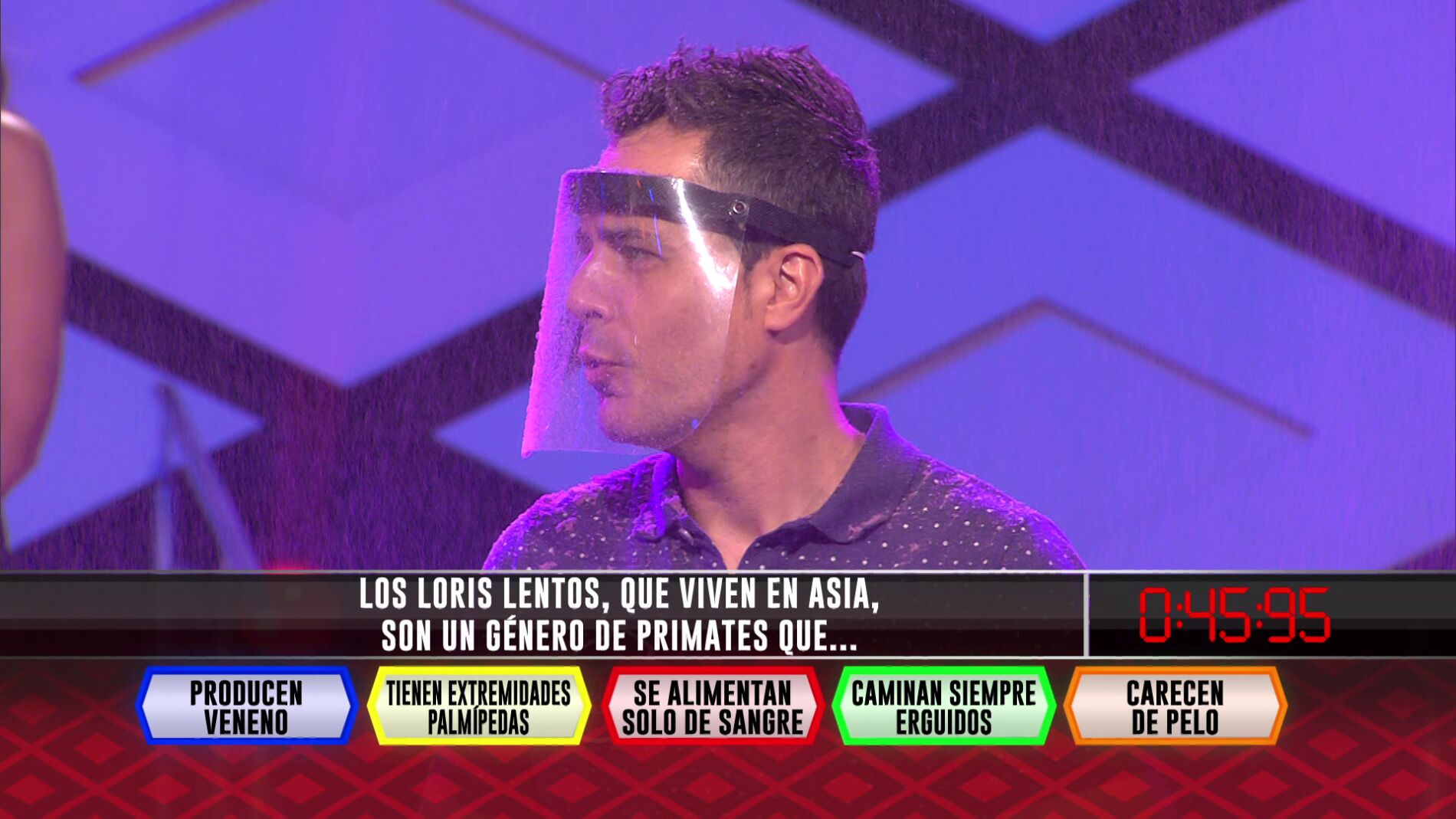 Los ‘Pica pica’ fallan en el primer cable una extraña curiosidad sobre los loris lentos