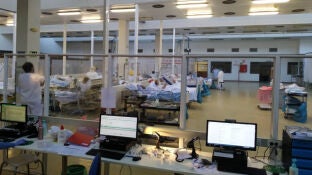 Gimnasio del hospital de La Paz