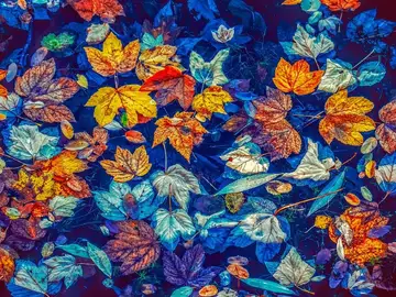 ¡Bienvenido octubre 2020! Las mejores frases para dar la bienvenida a octubre ¡Bienvenido octubre 2020! Las mejores frases para dar la bienvenida a octubre