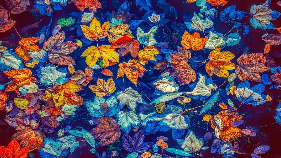 &iexcl;Bienvenido octubre 2020! Las mejores frases para dar la bienvenida a octubre