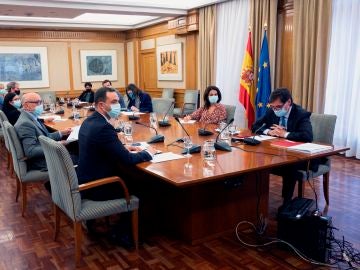 El ministro de Sanidad preside un Consejo Interterritorial de Salud
