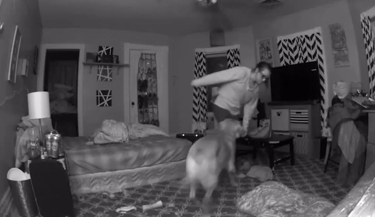 VÍDEO: Un perro salva a su dueña de derrumbarse en el suelo cuando llega a casa borracha