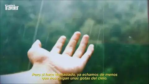 La Carta de Amor a Galicia que se ha hecho viral La Carta de Amor a Galicia que se ha hecho viral