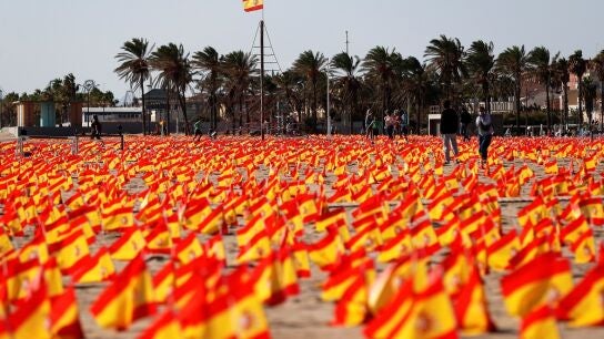 Imagen de las banderas colocadas en una playa de Valencia en homenaje a las v&iacute;ctimas del COVID-19