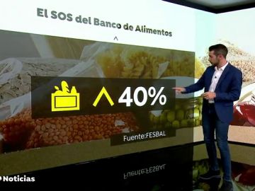 ALIMENTOS