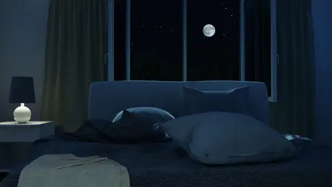 Noche Noche