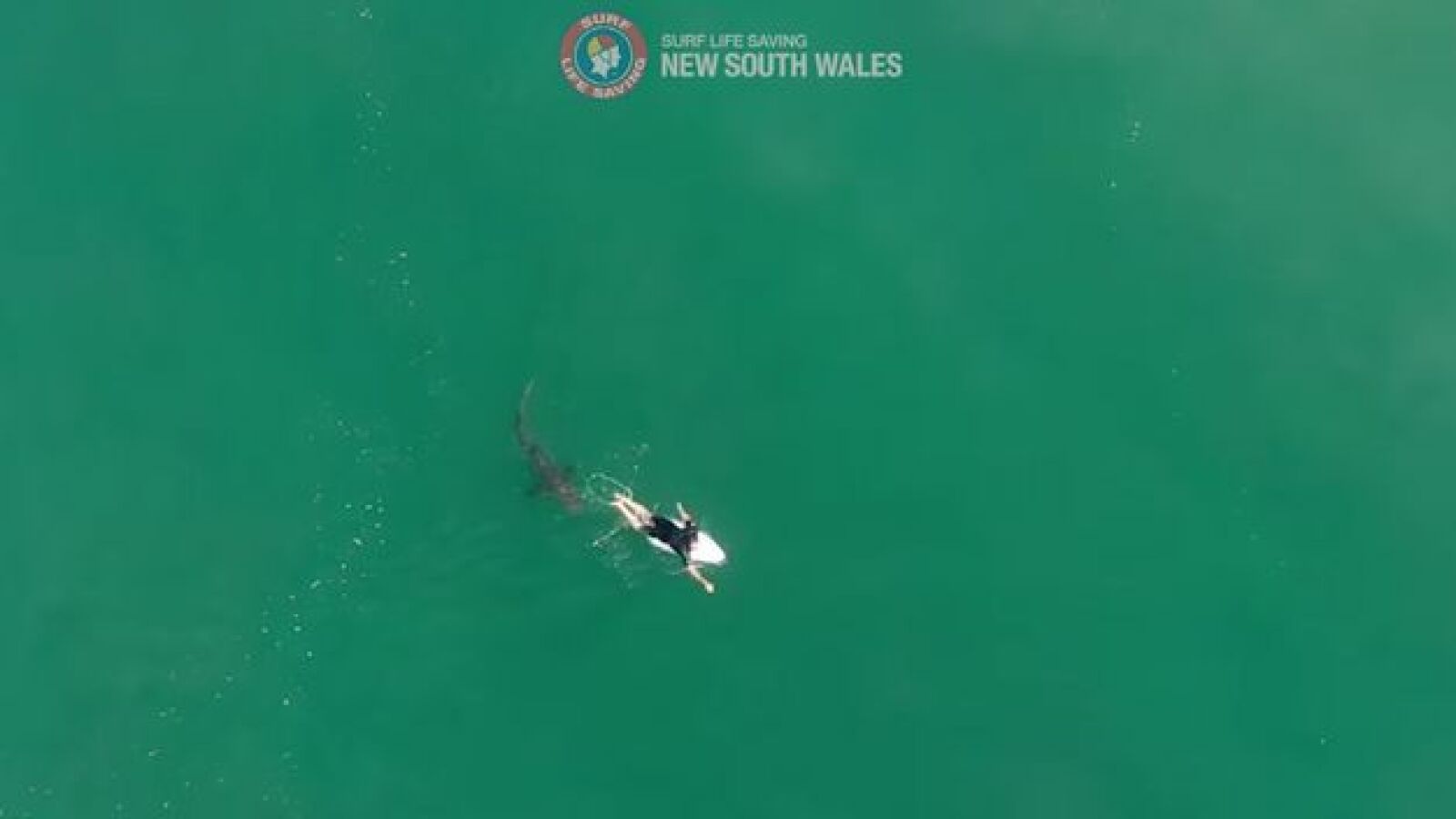 El espeluznante encuentro entre el surfista Matt Wilkinson y un tiburón en Australia