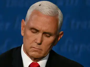 Momento en que la mosca se posa sobre la cabeza de Mike Pence Momento en que la mosca se posa sobre la cabeza de Mike Pence