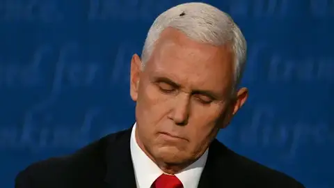 Momento en que la mosca se posa sobre la cabeza de Mike Pence Momento en que la mosca se posa sobre la cabeza de Mike Pence
