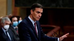 Pedro S&aacute;nchez durante su intervenci&oacute;n en el Congreso de los Diputados