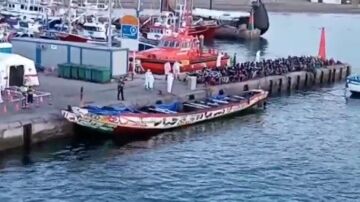 Llega a Tenerife la patera con más inmigrantes en lo que va de año: 177 adultos, 17 menores y un bebé
