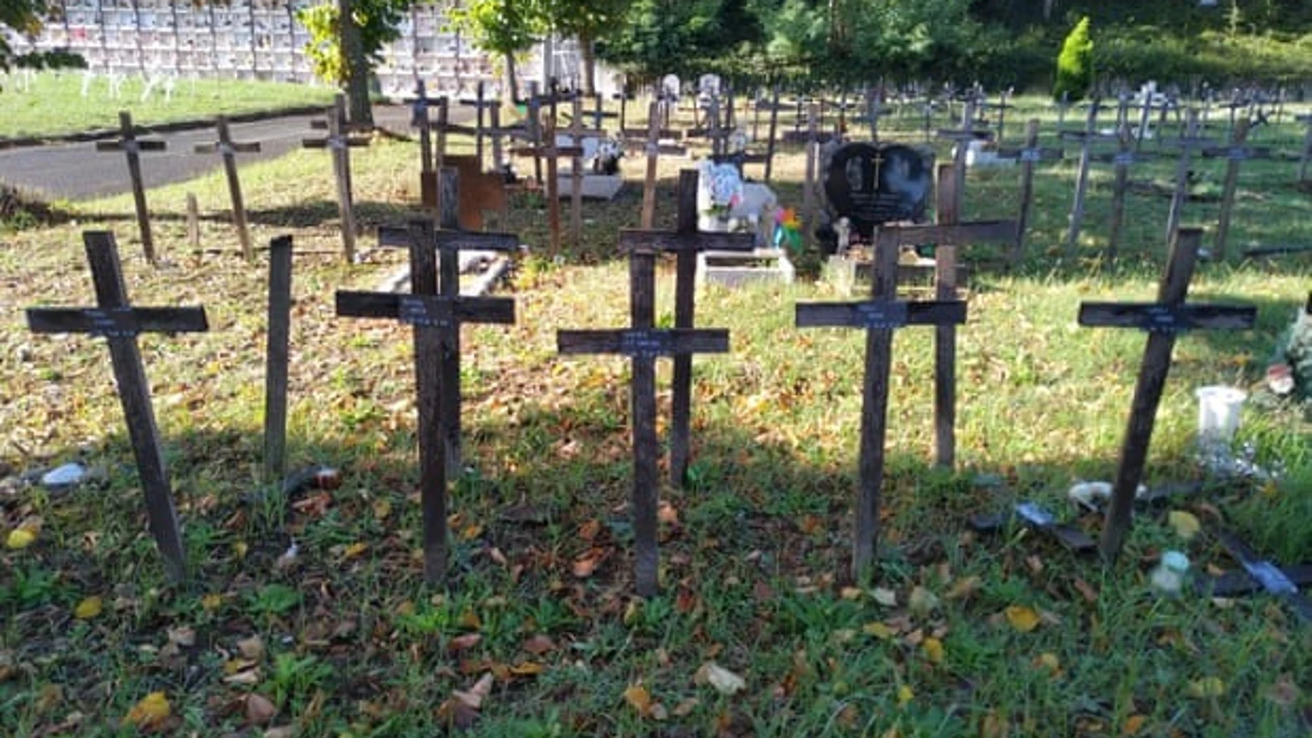 Cementerio en el que están enterrados los fetos Cementerio en el que están enterrados los fetos