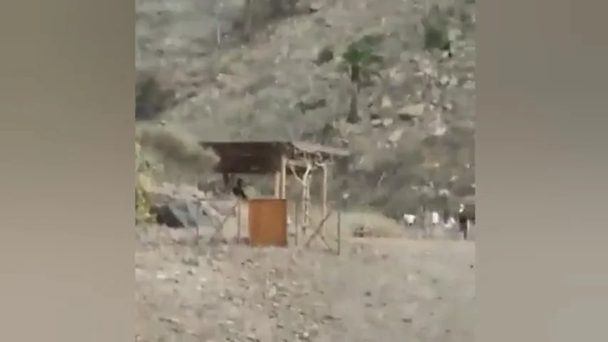 El momento en el que un grupo de jóvenes echa a correr cuando la Policía los descubre haciendo botellón en Las Palmas El momento en el que un grupo de jóvenes echa a correr cuando la Policía los descubre haciendo botellón en Las Palmas