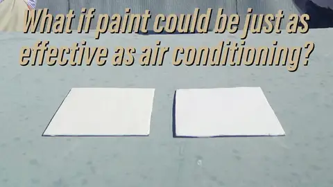 Crean el 'blanco más blanco' que es capaz de mantener todas las superficies frías Crean el 'blanco más blanco' que es capaz de mantener todas las superficies frías