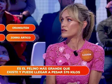 ¿Orangután o tigre? Los nervios traicionan a Luján Argüelles en ‘Una de Cuatro’ ¿Orangután o tigre? Los nervios traicionan a Luján Argüelles en ‘Una de Cuatro’