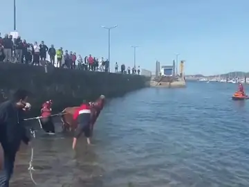 El espectacular rescate por mar de la vaca Ayla tras estar 7 días enriscada en un acantilado de Cantabria El espectacular rescate por mar de la vaca Ayla tras estar 7 días enriscada en un acantilado de Cantabria