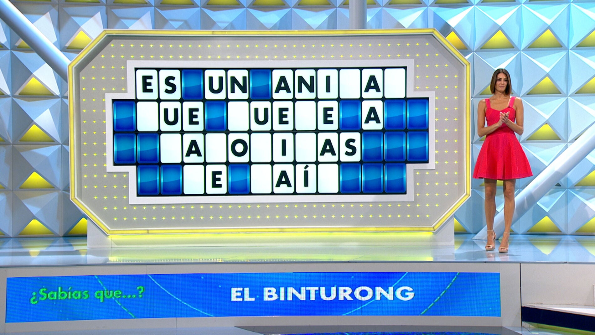 &iquest;Sabes qu&eacute; es un binturong? &iexcl;Descubre este especial animal con un olor &uacute;nico! 