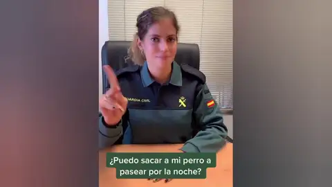 La Guardia Civil explica en Tik Tok si puedes sacar el perro o hacer deporte durante el toque de queda nocturno La Guardia Civil explica en Tik Tok si puedes sacar el perro o hacer deporte durante el toque de queda nocturno