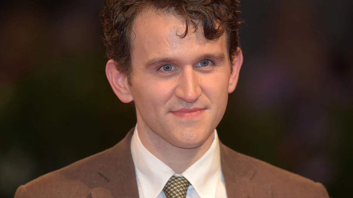 Harry Melling, Dudley Dursley en 'Harry Potter'