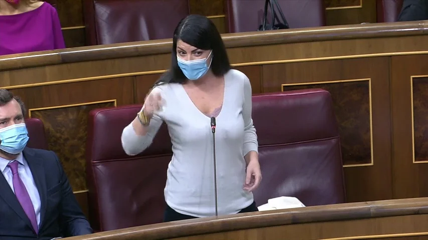 Vox se proclama "única oposición" en un "Congreso de focas" Vox se proclama "única oposición" en un "Congreso de focas"