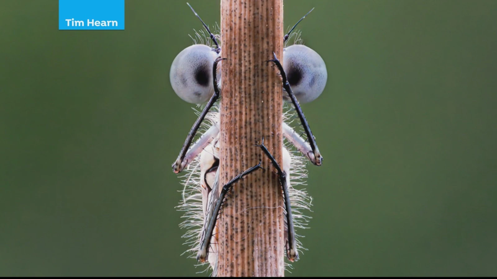 Fotografías divertidas para un concurso Fotografías divertidas