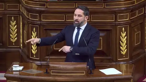 Santiago Abascal califica a Pablo Casado de "líder de la servil oposición" Santiago Abascal califica a Pablo Casado de "líder de la servil oposición"