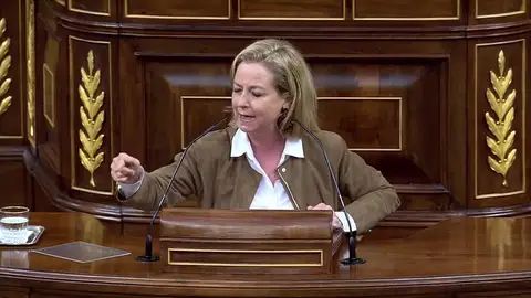 Ana Oramas al Gobierno en el debate sobre el estado de alarma: “Cárguense las pilas porque nos vamos a morir” Ana Oramas al Gobierno en el debate sobre el estado de alarma: “Cárguense las pilas porque nos vamos a morir”