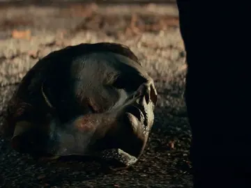 'Halloween Kills' 'Halloween Kills'