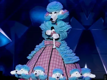 Caniche - Gala 2 - Mask singer Caniche - Gala 2 - Mask singer