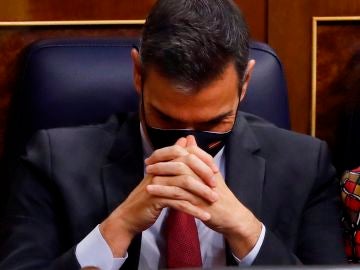Pedro Sánchez
