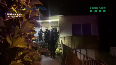 Así desarticula la Guardia Civil una red dedicada al tráfico ilegal de reptiles en Cataluña: "¡Todos al suelo!" Así desarticula la Guardia Civil una red dedicada al tráfico ilegal de reptiles en Cataluña: "¡Todos al suelo!"