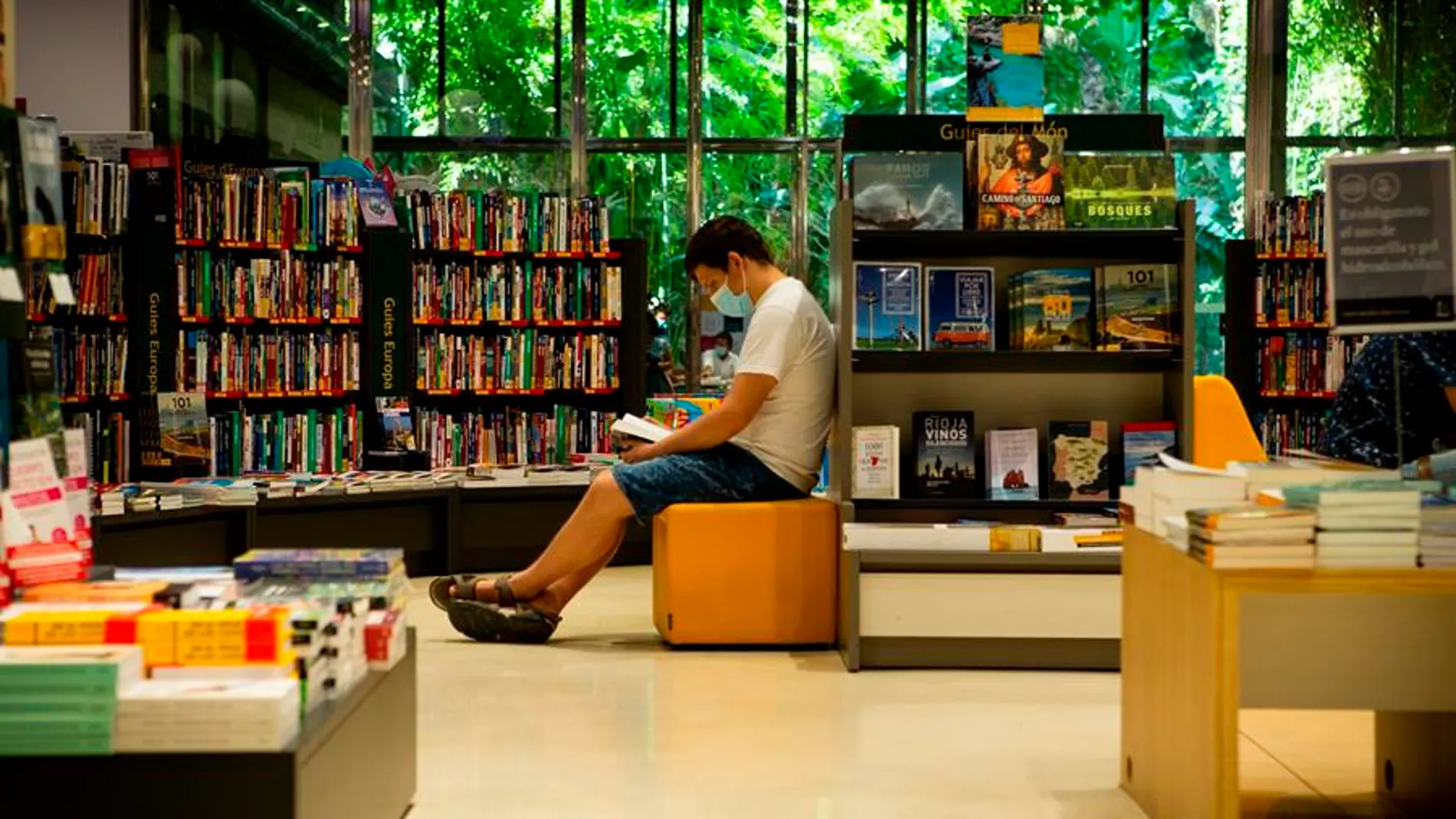 Día de las Librerías 2020: Las librerías facturan un 22,5% menos debido al coronavirus Día de las Librerías 2020: Las librerías facturan un 22,5% menos debido al coronavirus