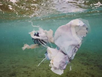 plásticos contaminando el mar