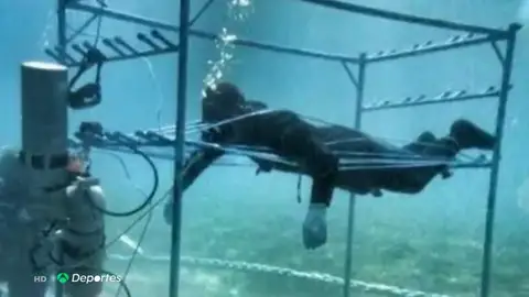buceo buceo